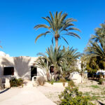 Villa les Oliviers Menzel Sonia Churasco Caja Les Palmiers Djerba Tunisie