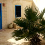 Studio Guellala Churasco Menzel Sonia Churasco Caja Les Palmiers Djerba Tunisie